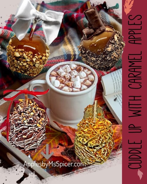 Image of Choosey Lover