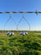 Image of Pearly Hoops