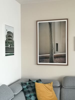 Image of Limited Edition C-Print (Framed / 74x106cm)