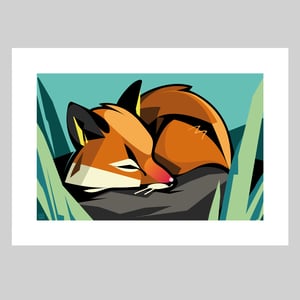 Image of Sleeping Fox Print