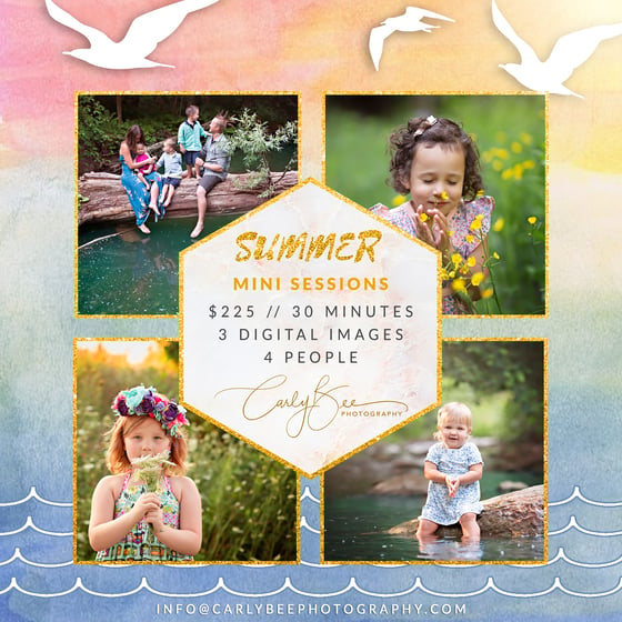 Image of ☀️ 2020 Summer Mini Session ☀️