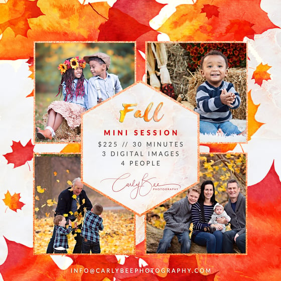 Image of 🍁 2020 Fall Mini Session 🍁