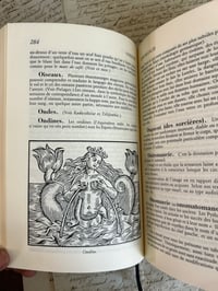 Image 16 of Le dictionnaire de l’occulter de la magie d’Yvan Galikoff, Édition luxe J. de Bonnot, 1992.