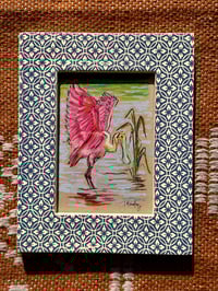 Spoonbill Original