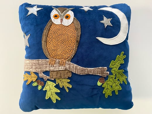 Raggy roux - Midnight Owl Cushion 