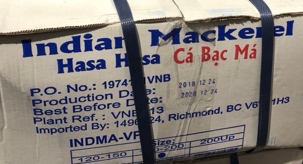 Image of Indian Mackerel ( Hasa Hasa ) 120-200g 20 x 500g