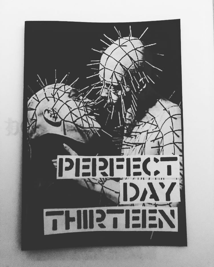 Image of PERFECT DAY ZINE #13