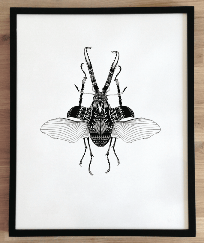 Image of Sérigraphie, série 7 ex / Insecte - signée