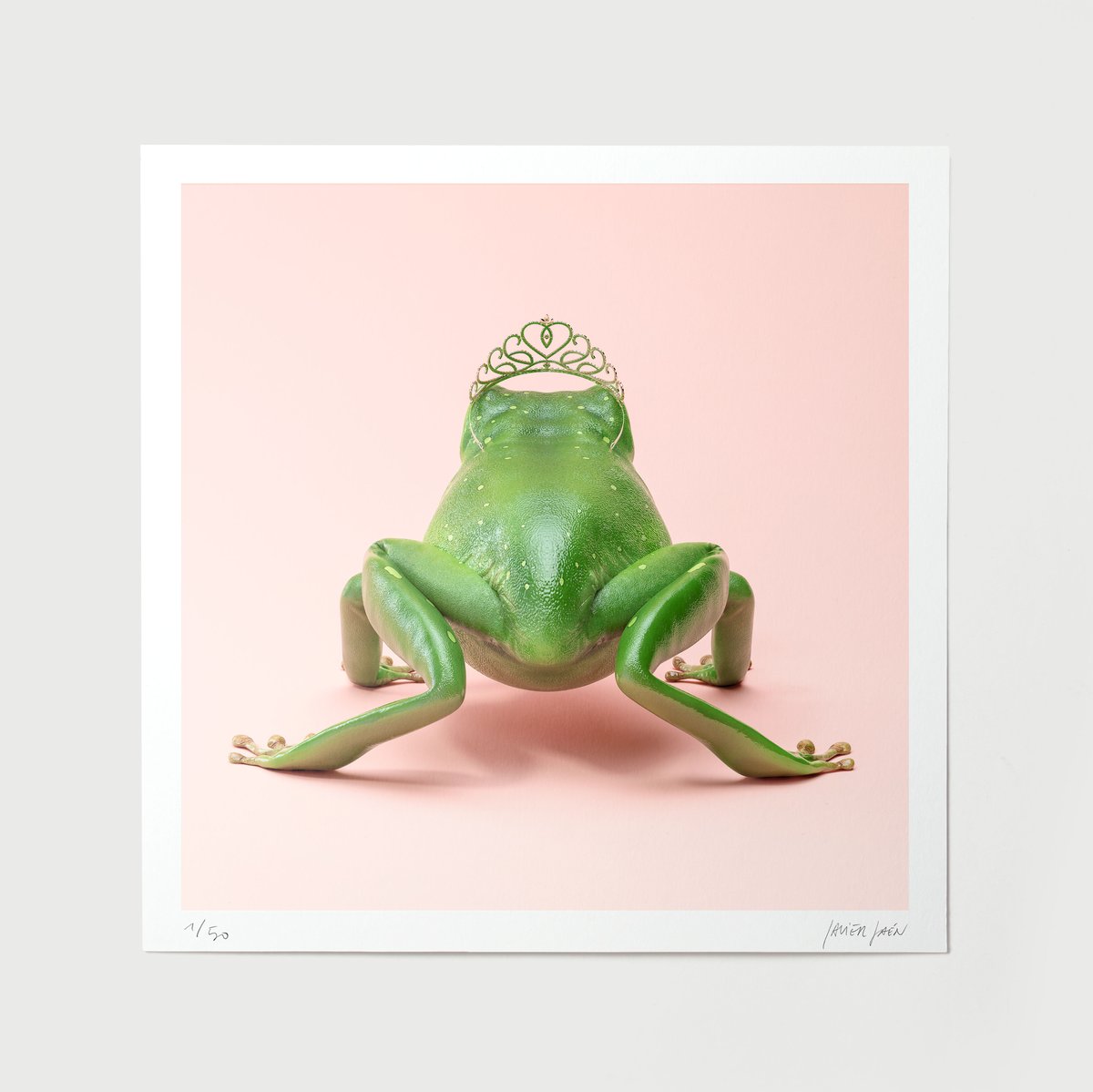 Image of Frog