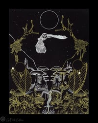 Image 2 of Owl and New Moon ~ line drawing, full color, or one-of-a-kind
