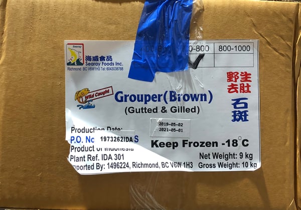 Image of Grouper ( Lapu Lapu ) 600-800 9kg 