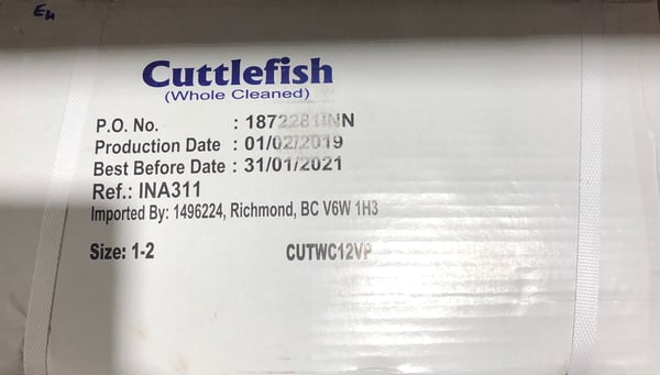 Image of  Cuttlefish Whole Cleaned 1-2 8kg