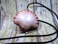 Image 4 of Cutie Cassie the Clam, Locket/stash box/pill box/prayer box /pendant neclace