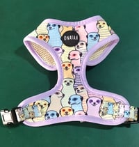 Image 3 of Onatah Meerkat Harness