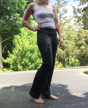Image of Pit Bull Pants