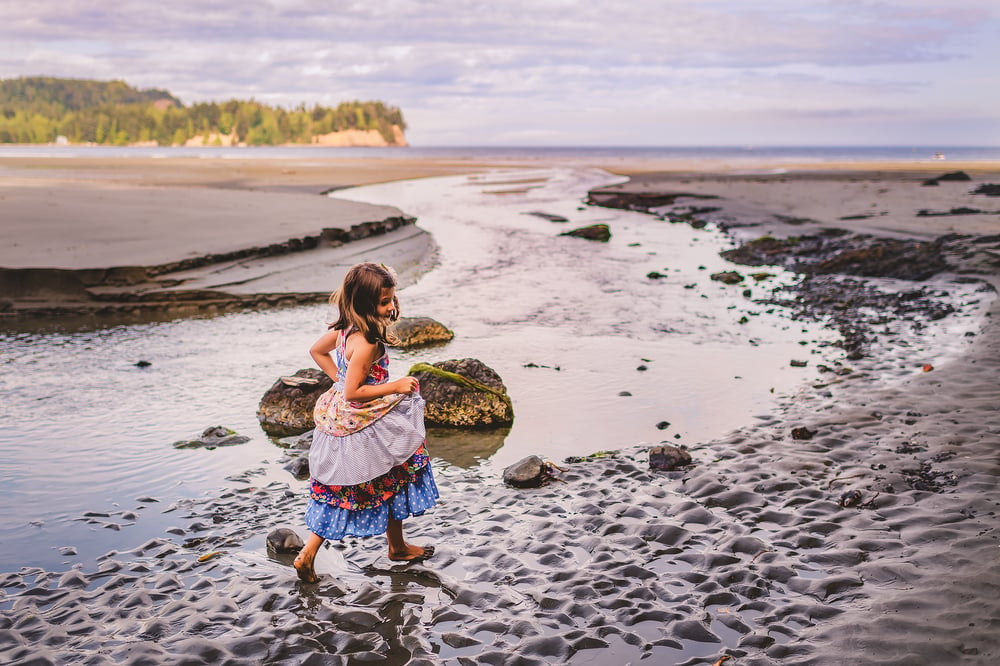 Image of PNW Beach ADVENTURE Session - SUMMER (2024) - $1500