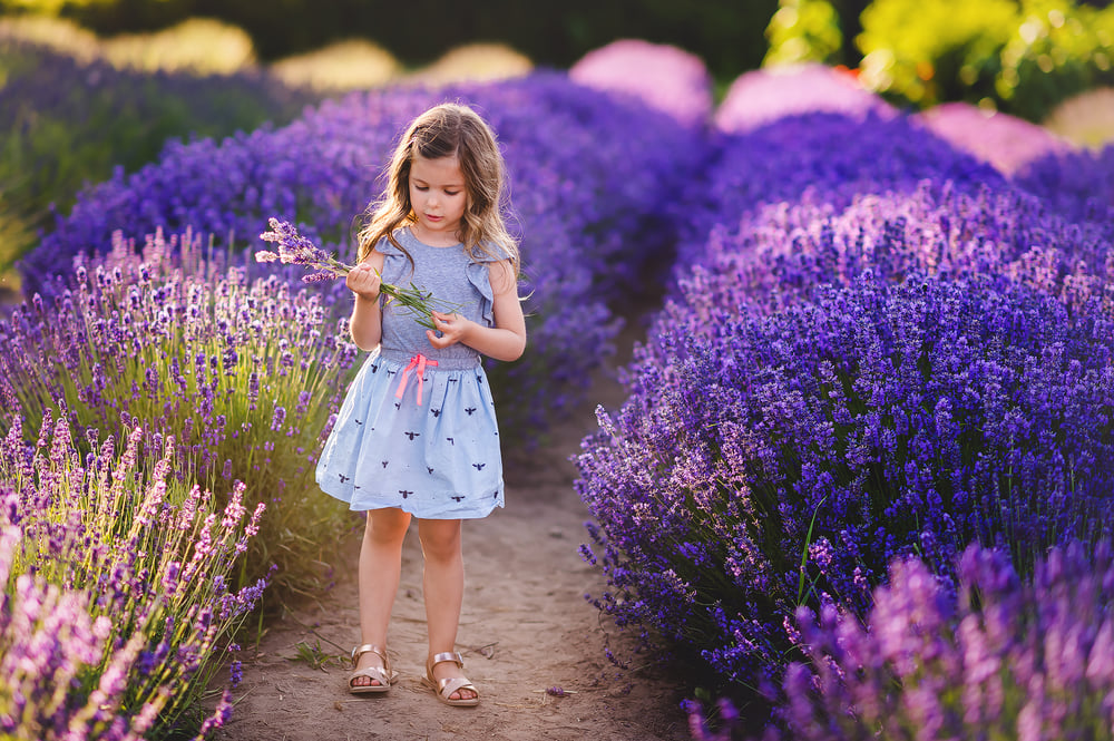 Image of Lavender Farm Adventure Session - SUMMER (2024) - $1500