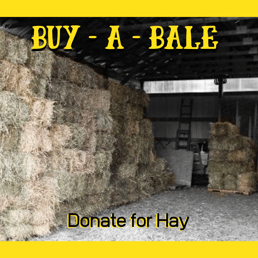 Image of Buy-a-Bale