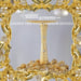 Image of Golden Vine Vanity Mirror