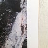 4 Colour Riso