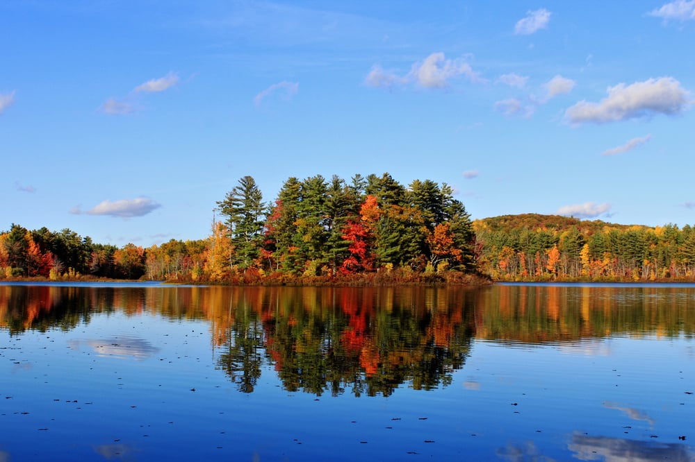 Image of Burnt Meadow Pond Print