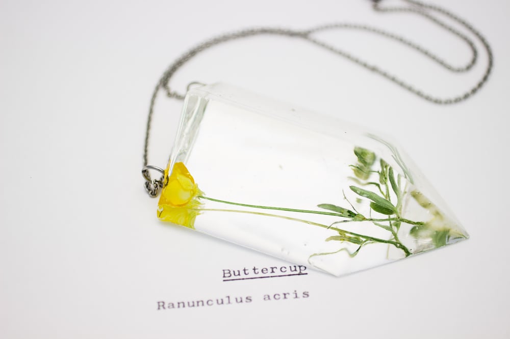 Image of Buttercup (Ranunculus acris) - Chunky Statement Piece #1