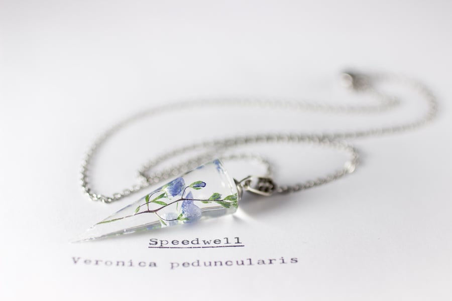 Image of Speedwell (Veronica peduncularis) - Conical Pendant #1