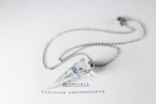 Image of Speedwell (Veronica peduncularis) - Conical Pendant #1