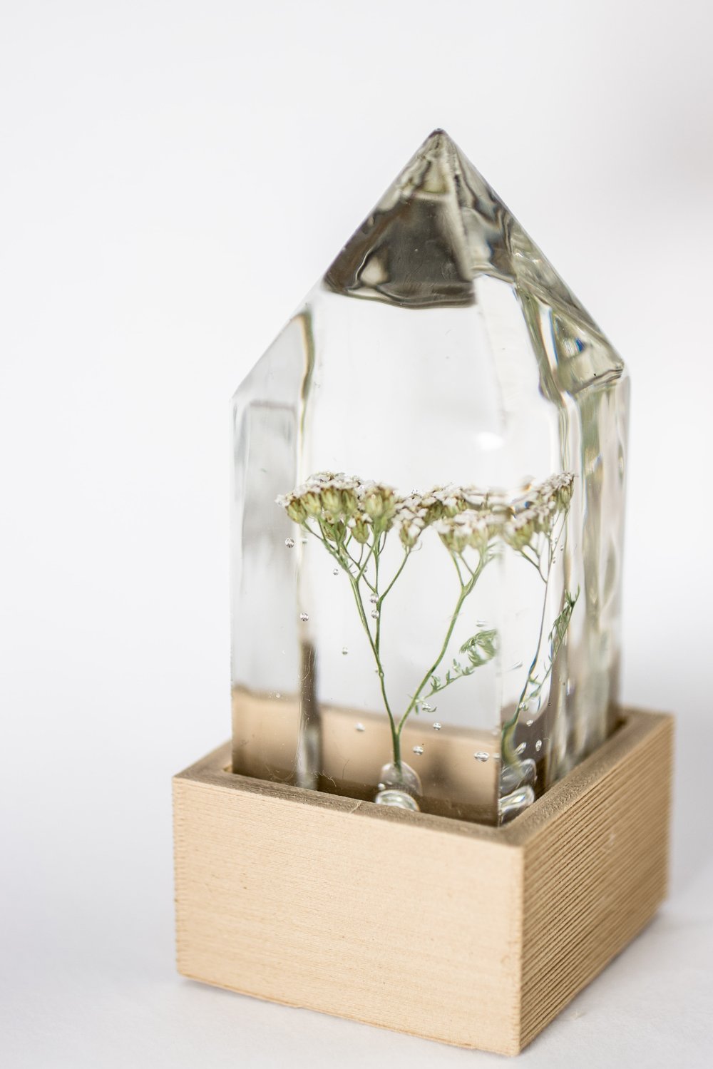 Image of White Yarrow (Achillea millefolium) - Floral Prism Desk Lamp