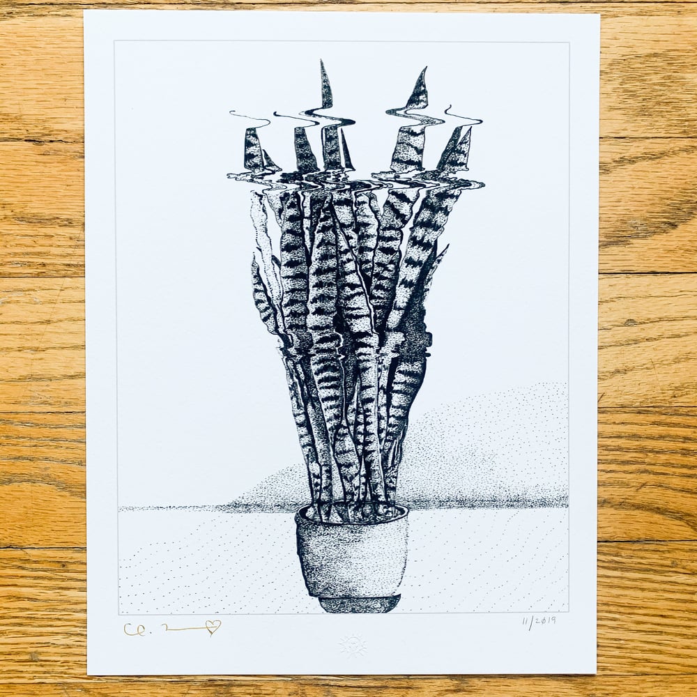 Image of “Snake Plant” 8.5”x11” Giclee Fine Art Print
