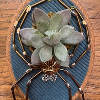 Image 3 of Succulent spider (d, 4x5 inches)