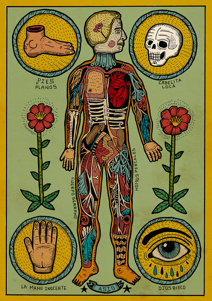 Image of Anatomia de un cuerpo sesi