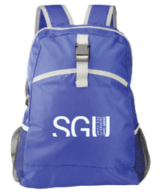 Image of Blue Backpack
