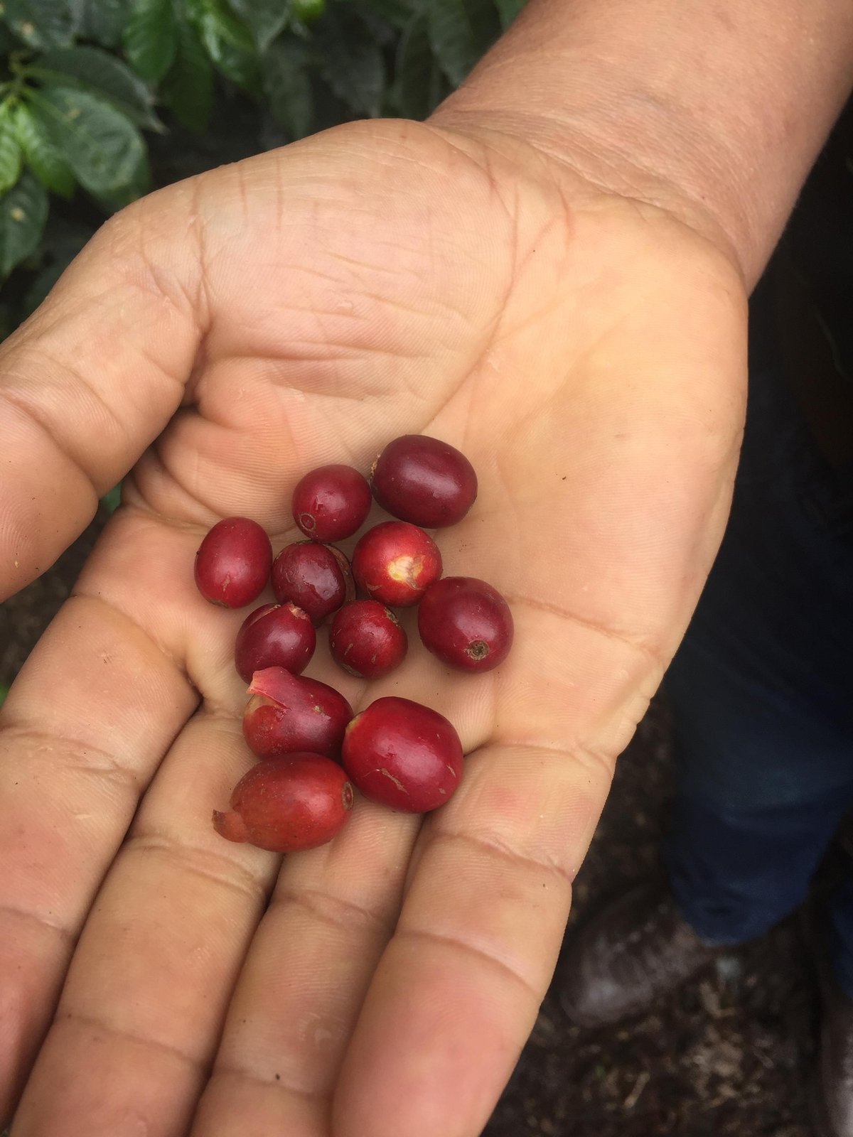 Image of Villa Maria by Oscar Olarte