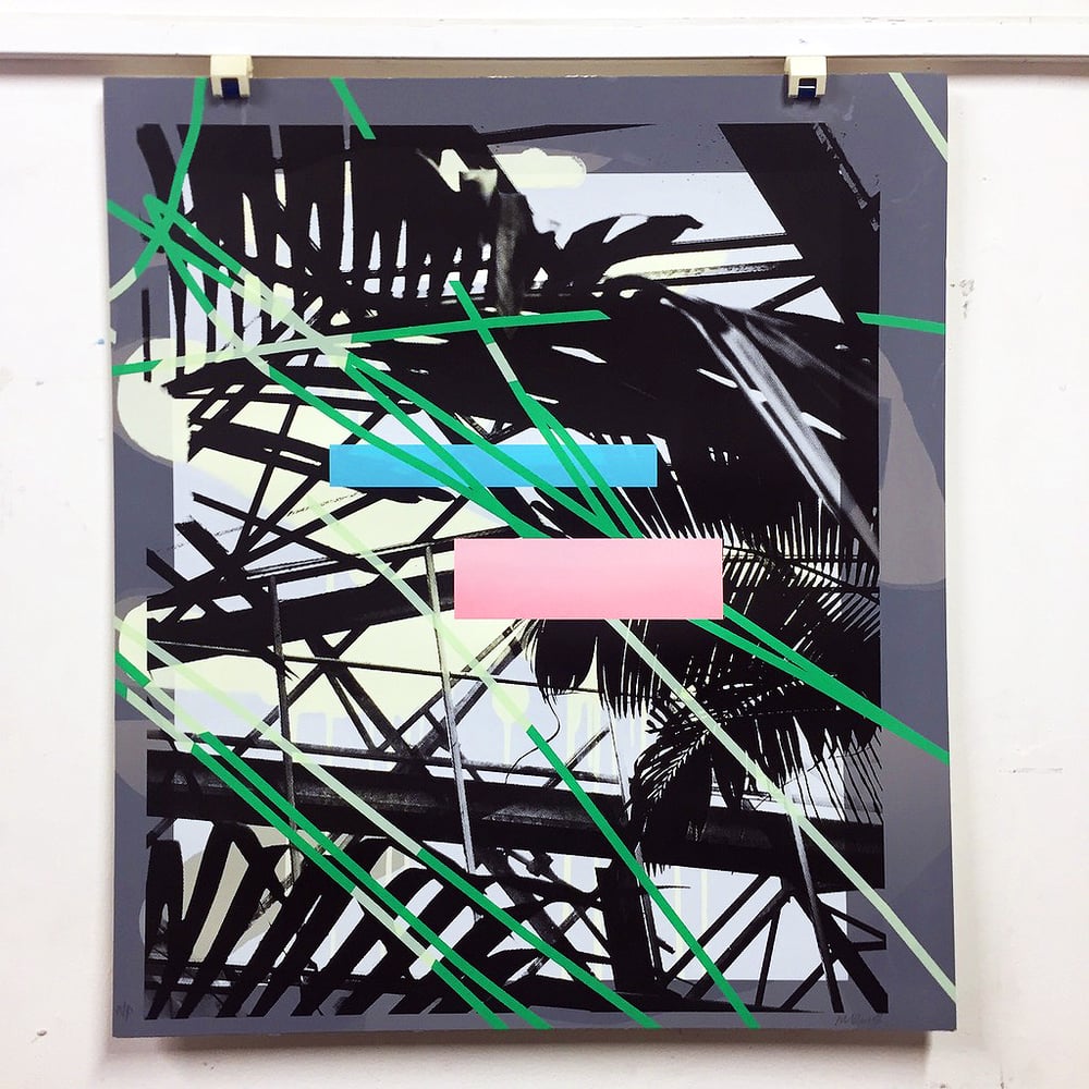 Image of Untitled (Ferns)