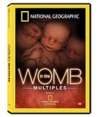 Image of In The Womb: Multiples (DVD)