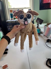 Image 4 of Custom order for Max 