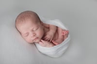 Image 4 of Luxe Newborn Session