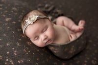 Image 3 of Luxe Newborn Session