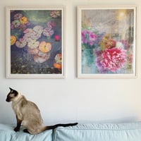 Image 2 of ‘Rainy Dahlia’ - LIMITED EDITION, SIGNED PRINT