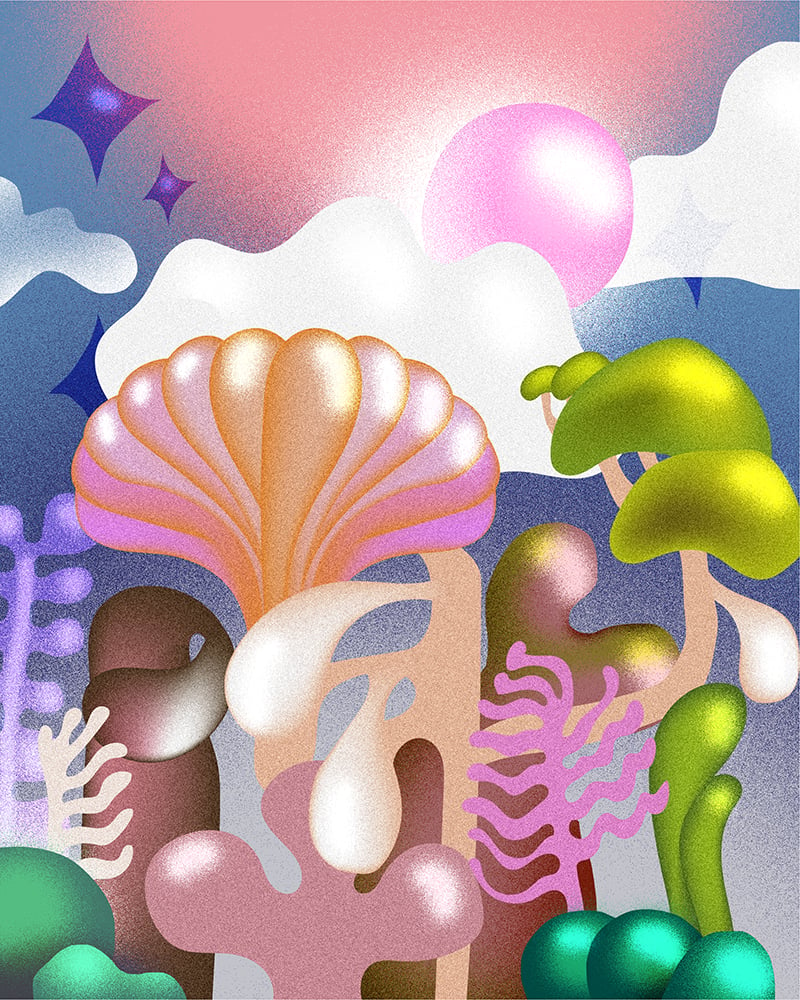 Image of Fungi Kingdom