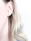 Ear Tags