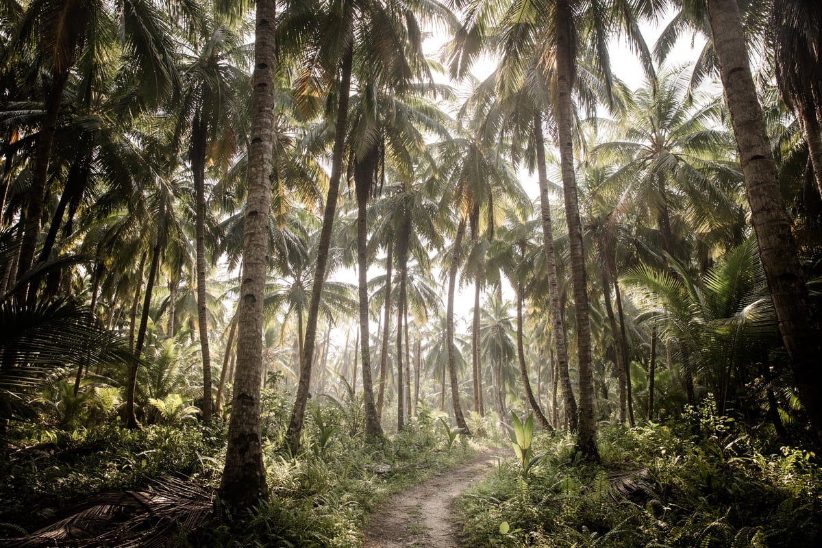 Image of Nyang Nyang Island