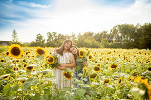 Image of Black Friday Sale