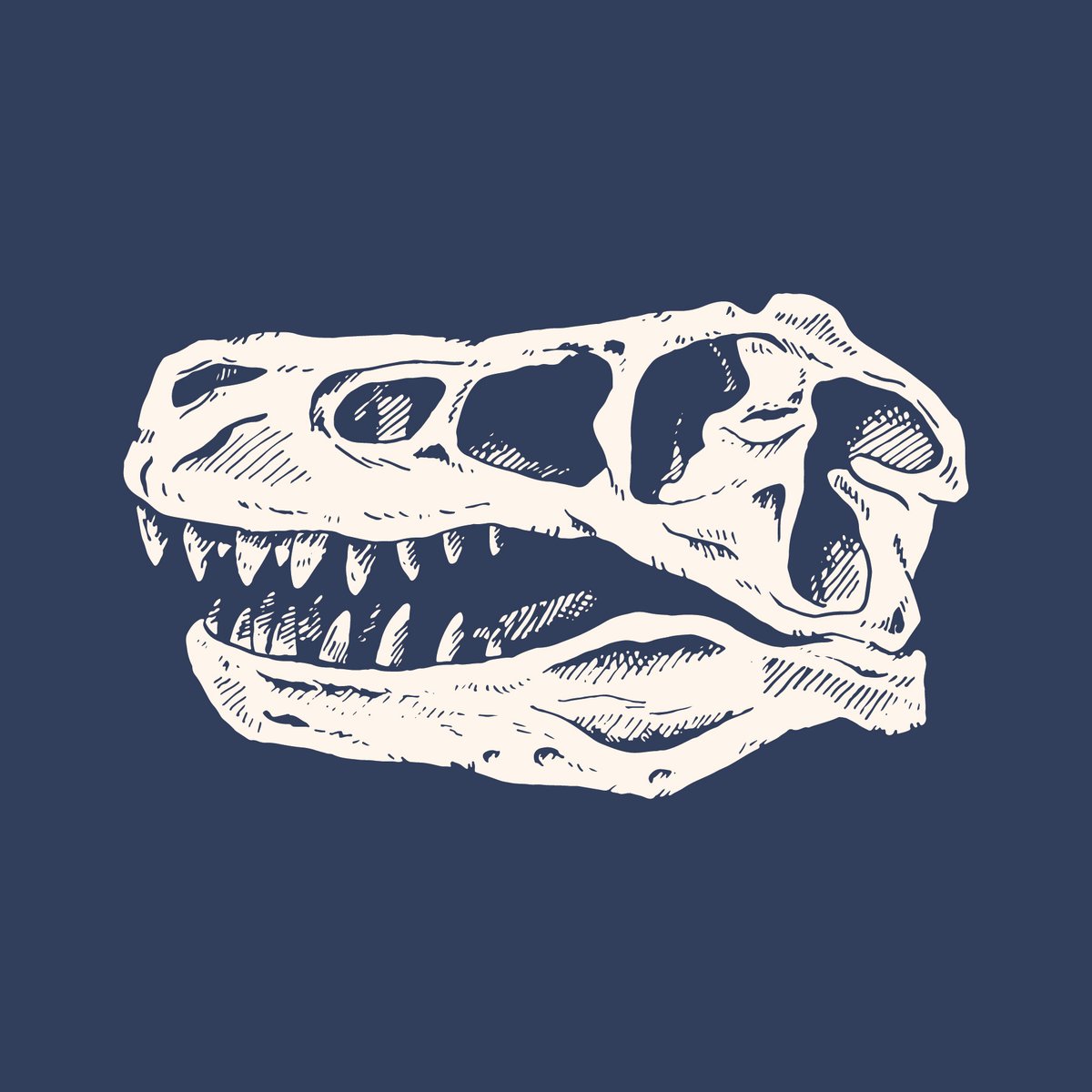 T-Rex skull T-shirt | Katie Nieland Art