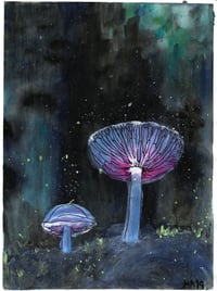 Nighttime Mushrooms 01