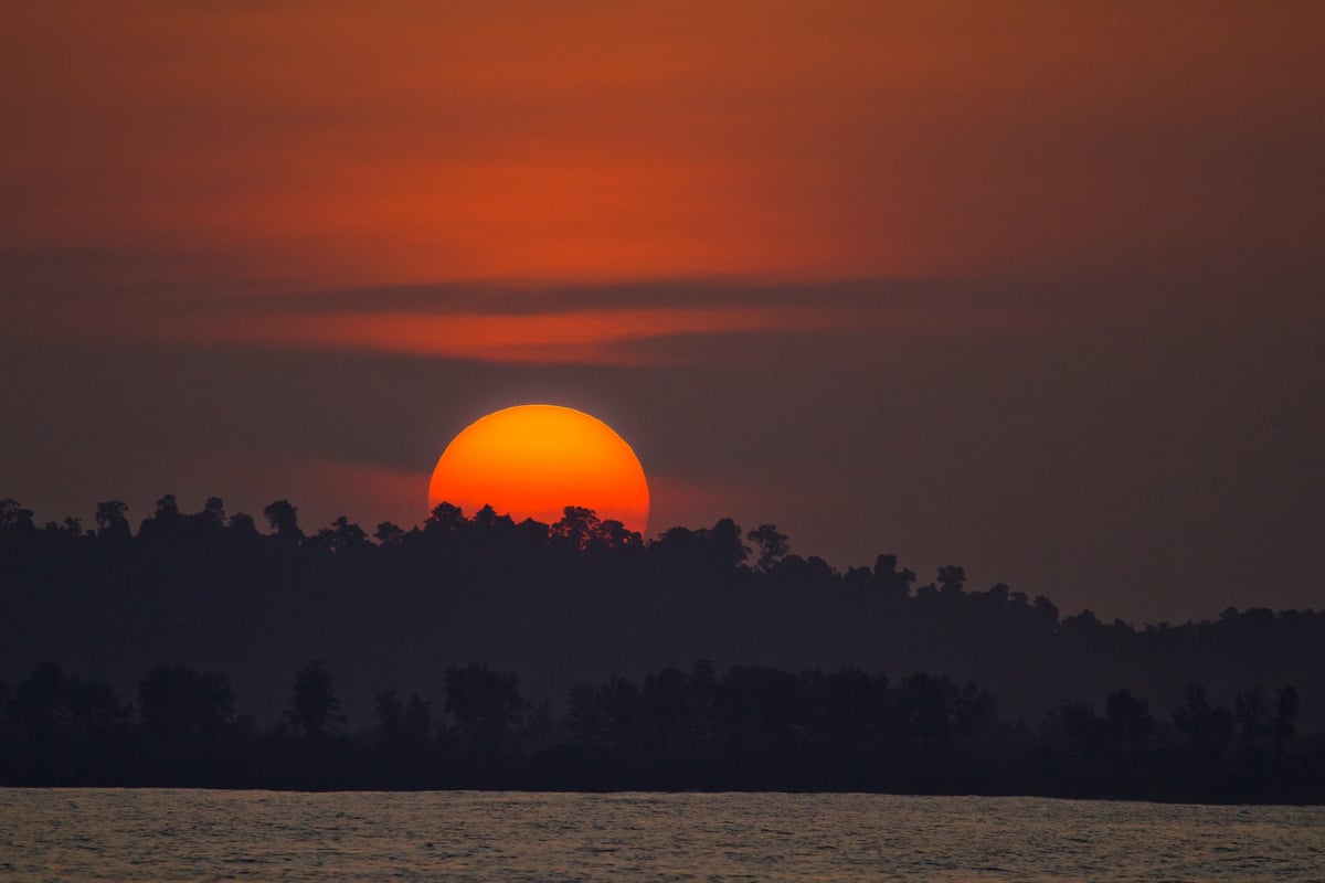 Image of Jungle Sunset