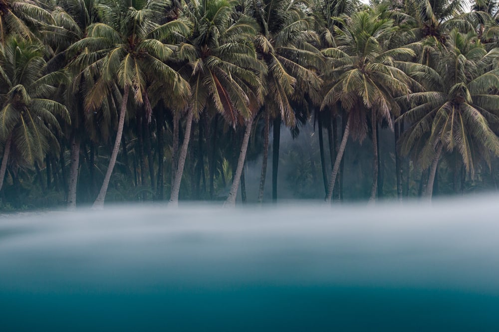 Image of Eerie Paradise