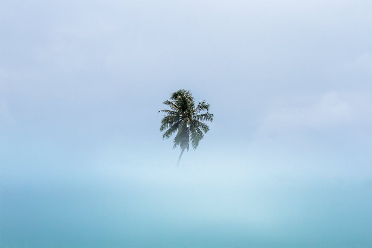 Image of Solitude at Sea Level