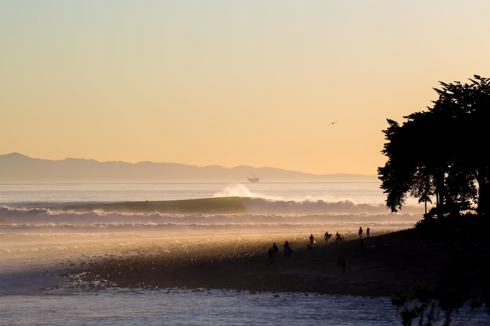 Image of The Queen of the Coast